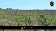Dakar Ugebung 017