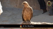 2014_at_the_marabu 001