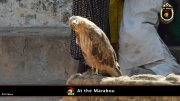 2014_at_the_marabu 003