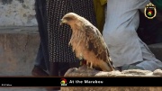 2014_at_the_marabu 005