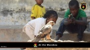 2014_at_the_marabu 007