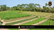 Dakar Cite Comico 004
