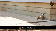 Dakar Cite Comico 015