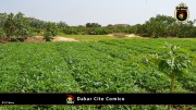 Dakar Cite Comico 040