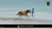 Dakar Südstrand 026