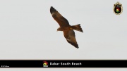 Dakar Südstrand 032