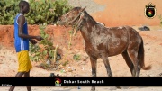 Dakar Südstrand 044