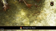 Lac Rose 025
