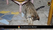 Soumbedioune Market Night 012