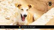 Tiere in Senegal 003