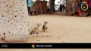 Goree Island 032