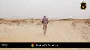 paradies 004