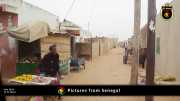 Verschiedene Bilder aus Senegal 016