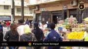 Verschiedene Bilder aus Senegal 059