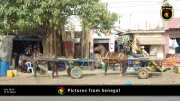Verschiedene Bilder aus Senegal 077