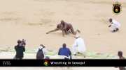 Wrestling in Senegal 006