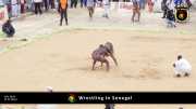 Wrestling in Senegal 008
