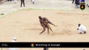 Wrestling in Senegal 011