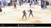 Wrestling in Senegal 012